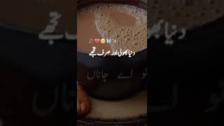 Ganeey  Poetry  Chai Status  Ganay  Good Morning Chai  Tea Song  Ganey  Motivational Songs [upl. by Suter689]