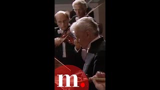 Never get tired of maestros Karajan talent Shorts Karajan Vivaldi [upl. by Lraed470]