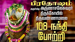 🔴 LIVE SONGS  பிரதோஷம் 108 நந்தி போற்றி  திருவண்ணாமலை அருள்மிகு அருணாச்சலேஸ்வரர் கோயில் [upl. by Ailem]