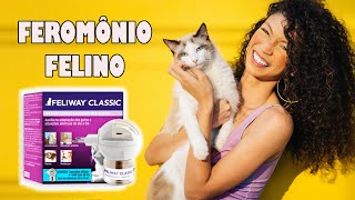 Feromônios felinos  Feliway  O que são como funcionam  Gatil Hauser [upl. by Pritchett]