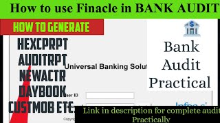 How to generate reports in FINACLE  Finacle कैसे use करें bankaudit audit Practicalaudit [upl. by Julio]