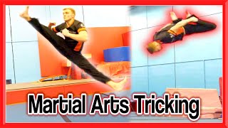 Taekwondo Kicking amp Martial Arts Tricking Training  Flips amp Kicks [upl. by Pytlik]