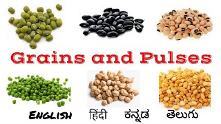 Grains and Pulses names in English Hindi Kannada Telugu  Grains name  Pulses name  Millets [upl. by Aratahs]