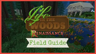 Traps amp Bait  Phedrans Field Guide  Life in the Woods Renaissance [upl. by Nyrroc]