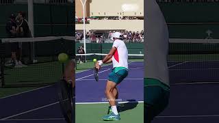 Novak Djokovic Backhand Slowmo slowmotion djokovic tennisslowmotion [upl. by Ikin]