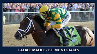 Palace Malice  2013 Belmont Stakes G1 [upl. by Alegnat]