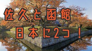 【日本に2つだけの五稜郭！】趣深い龍岡城五稜郭を散策 [upl. by Enel733]