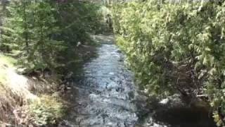 SOLD Maine Real Estate Land 400 Acre Farm Streams MOOERS 7996 [upl. by Essirahs]