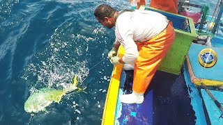 Mira el desafío de la PESCA con espinel en alta mar Cómo capturar los DORADOS más grandes [upl. by Costin]