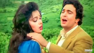 Tu Neendon Ki Rani Aur Main Pyaar Ka Sapna❣️Love Honeymoon ll Anuradha Paudwal Udit Narayan [upl. by Ammamaria]