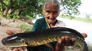 Koramenu Fish Recipe  Murrel Fish curry By Granny Mastanamma [upl. by Raybin801]