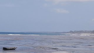 Msambweni Beach  Kenya South Coast [upl. by Ellesirg]