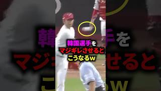 😤100万再生突破！韓国選手をマジギレさせると こうなるw 野球 [upl. by Dorita567]