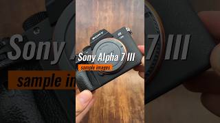 Sony Alpha 7 III camera test  sample images  A7 Mark 3 M3 Photography camera sonyalpha cameras [upl. by Hanimay]