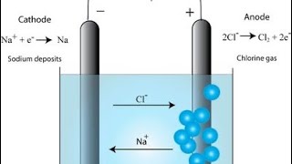 Electrolysis of molten sodium chloride  exam question [upl. by Abbotsen556]