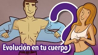 12 vestigios evolutivos ¡en tu cuerpo [upl. by Gabor]