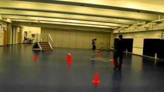 RCMP  GRC PARE  TAPE Physical Abilities Requirement Evaluation [upl. by Yahc450]