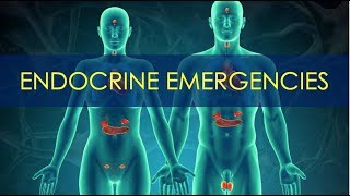 Endocrine Emergencies  Pancreatic amp Adrenal Disorders [upl. by Blake440]