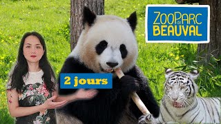 Vlog Zoo de Beauval  Weekend et séjour à lhôtel Les Pagodes de Beauval [upl. by Ahsi705]