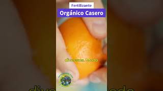 Fertilizante Orgánico Casero Nutriendo tus Plantas de Forma Natural [upl. by Trainor]