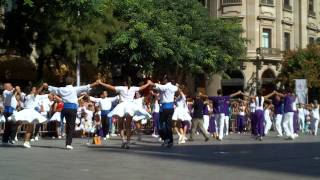 SARDANES A BARCELONA CONCURS PLA DE LA CATEDRAL2011 [upl. by Stelle]