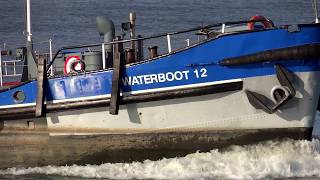 Shipspotting Waterboot 12 Rotterdam  20141101 [upl. by Notfilc74]