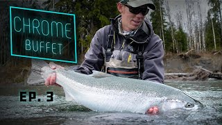 CHROME Buffet  GIANT Steelhead Olympic Peninsula Fishing [upl. by Ribble]