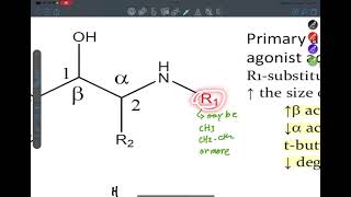 Adrenergic system part 2 [upl. by Stoll]