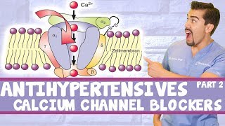 Calcium Channel Blocker CCB Toxicity quotEM in 5quot [upl. by Nohsav]