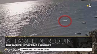 🇳🇨 🦈 Un mort après une nouvelle attaque de requin tigre au Château Royal à Nouméa  19022023 [upl. by Ihcelek]