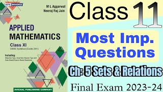 Sets and relations class 11  sets and relations class 11 applied maths  Important questions [upl. by Hilarius]