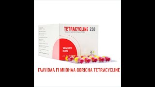 FAAYIDAA FI MIIDHAA QORICHA TETRACYCLINE  THE USE AND SIDE EFFECTS OF TETRACYCLINE DRUG [upl. by Teplitz]