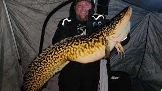 LAKE SIMCOE ICE FISHING NEW Ontario Record BURBOT [upl. by Dael]