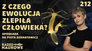 Wspólnota życia  ewolucja odsłania prawdę o pochodzeniu człowieka  dr Piotr Bernatowicz [upl. by Eckel]