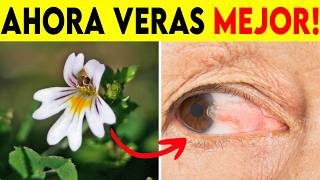 6 PLANTAS Que Van A Mejorar La Vista SIN IMPORTAR Tu Edad Pocos Saben Esto [upl. by Solotsopa]