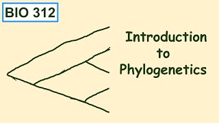 Introduction to phylogenetics [upl. by Myron955]