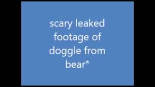 scary doggle footage [upl. by Akenit480]