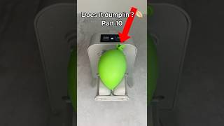 Does it dumplin 🥟😂 Part 10 dumplings funny shortvideo [upl. by Anisirhc173]