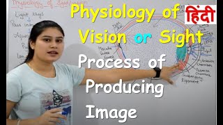 Physiology of Vision  Mechanism of Vision  Internal Physiology of Eye  Parts Functions [upl. by Mehelhteb]