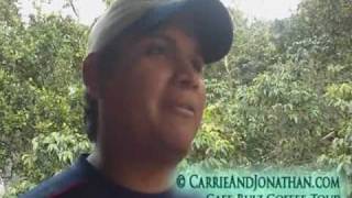 Coffee Tour in Boquete Panama Cafe Ruiz Video 1 [upl. by Aseena314]