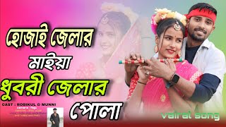 হোজাই জেলার মাইয়া ধুবরী জেলার পোলা  Singer Nuhu Alam Shajida khatun  Bangla Song [upl. by Ataynik]