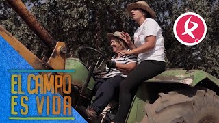 Chabeli enseña a su madre a conducir el tractor  El campo es vida [upl. by Junie302]