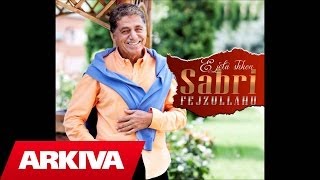 Sabri Fejzullahu  Nje fotografi Official Song [upl. by Madriene159]