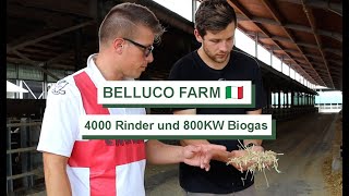 Intensive Landwirtschaft in der PoEbene  Bellucofarm [upl. by Eidnyl254]