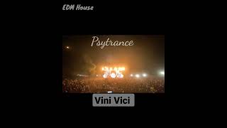 Vini Vici Live Concert 2022 vinivici shorts music [upl. by Horgan960]