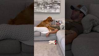 Saying my dogs favorite words in my sleep [upl. by Amathist904]