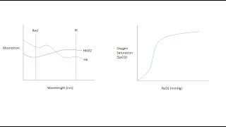 Understanding Oxygenation Respiratory Physiology and Clinical Application [upl. by Parsifal]