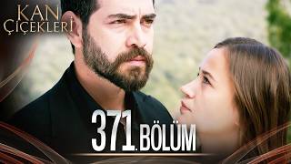 Kan Çiçekleri 371 Bölüm [upl. by Julide]