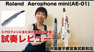 【島村楽器FKD宇都宮店】エアロフォン新製品！RolandAerophone miniAE01試奏レビュー！ [upl. by Auohc]