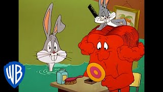 Looney Tunes  Lets Give Gossamer a Hairdo  Classic Cartoon  WB Kids [upl. by Mcmath]